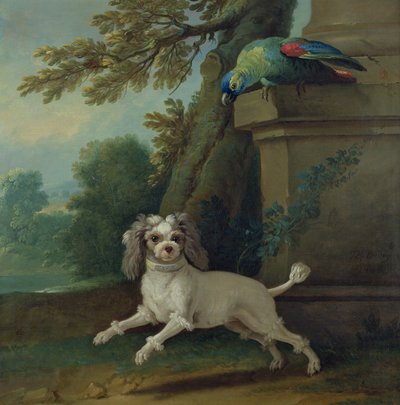 Zaza, the dog by Jean Baptiste Oudry